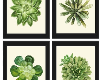 Succulents Home Decor Wall Art Print Set of 4 Beautiful Green Cactus Plants Tropical Exotic Garden Flowers Poster Home Decor to Frame SUCC