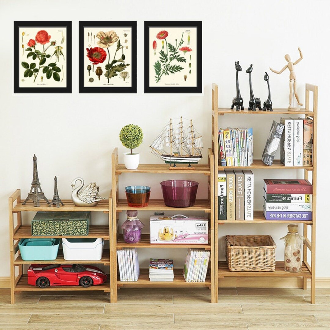 Red Poppy Roses Marguerite Daisy Botanical Wall Art Set of 3 Prints ...