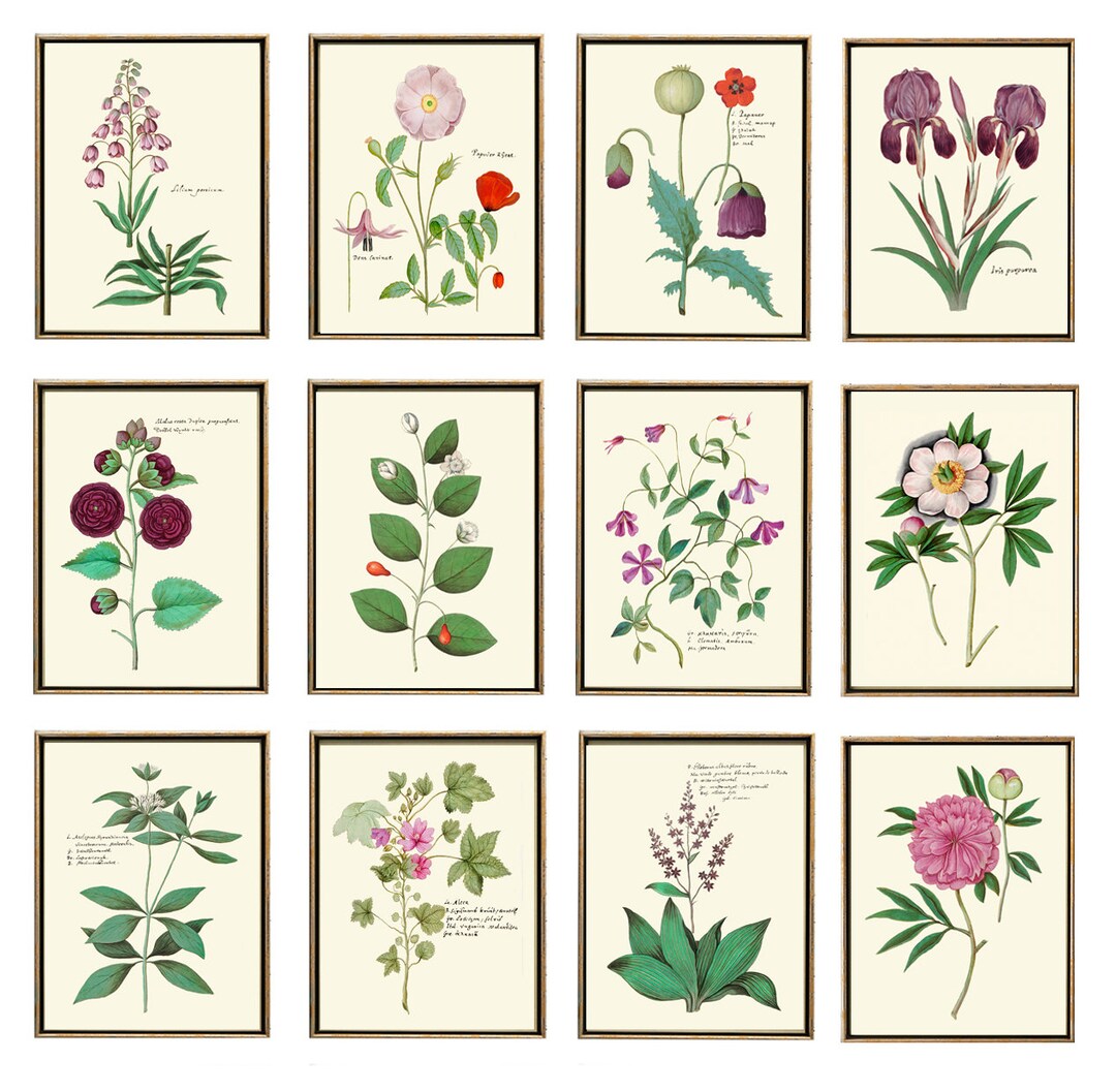 Botanical Prints Home Decor Wall Art Set of 12 Prints Beautiful Bedroom ...