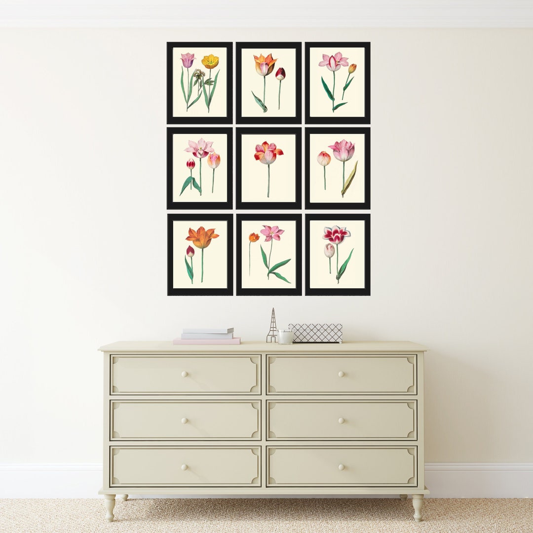 Tulips Botanical Wall Art Set of 9 Prints Beautiful Vintage Antique ...