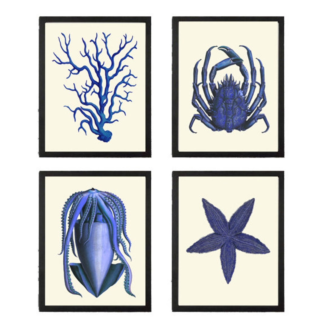 Blue Bathroom Wall Art Set of 4 Prints Beautiful Antique Vintage Sea ...