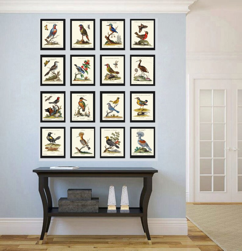 Bird Wall Art Gallery Set of 16 Prints Beautiful Antique Vintage Birds ...