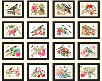 Bird Prints Large Wall Art Gallery Set of 16 Beautiful Birds Flowers Botanical Interior Design Living Room Dining Home Decor to Frame BOT