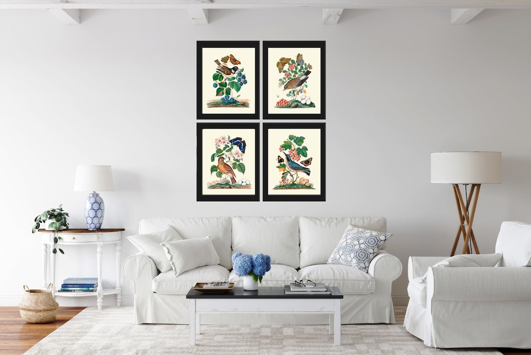 Vintage Bird Wall Art Set of 4 Prints Beautiful Antique Pretty Red Blue ...