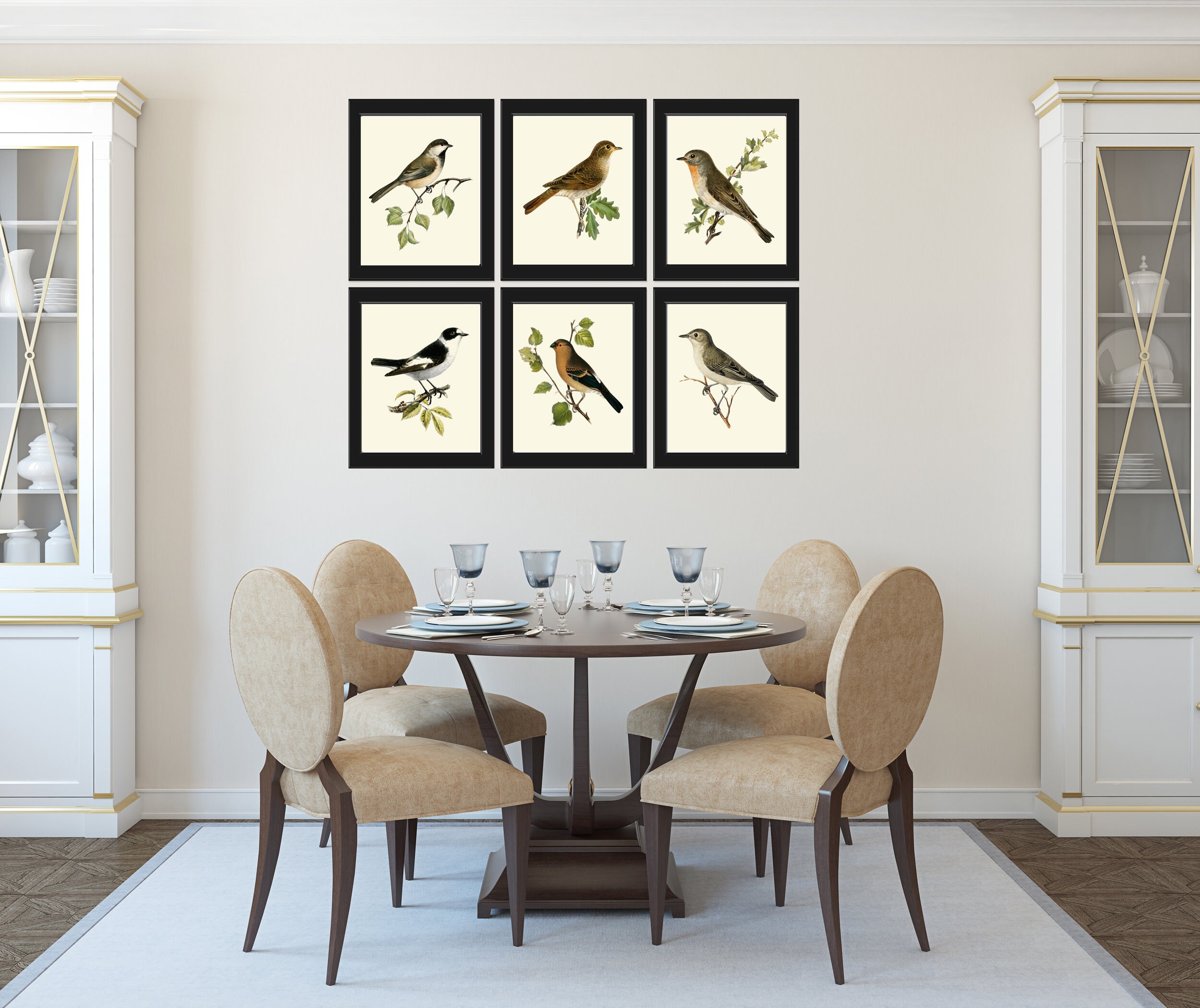 Vintage Antique Birds Wall Art Print Set of 6 Prints Birdwatching Bird ...