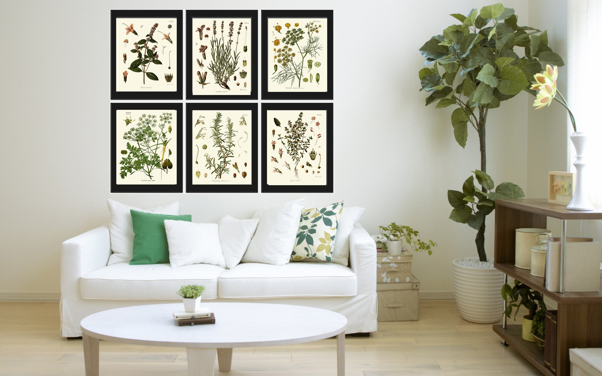 Herbs Spices Prints Wall Art Set 6 Beautiful Botanical Kitchen Dining ...