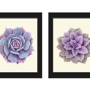 Succulents Prints Wall Art Home Decor Print Set of 2 Beautiful Violet Purple Plants Flowers Botanical Watercolor Home Decor to Frame SUCC