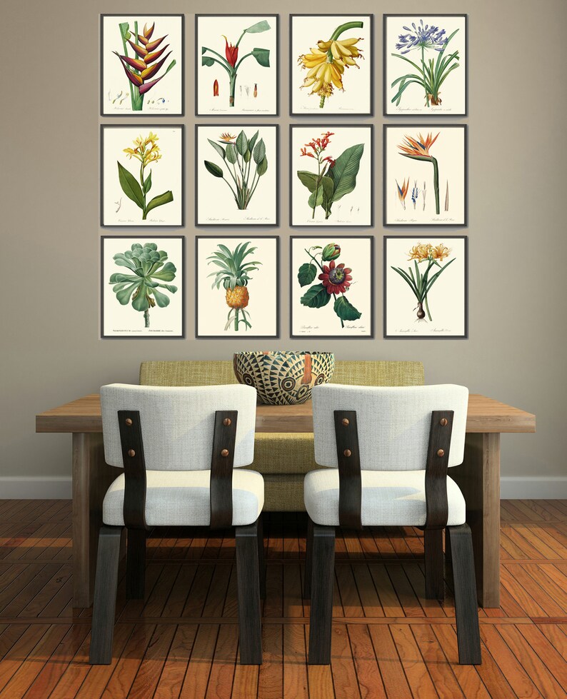 Tropical Botanical Wall Decor Art Set of 12 Prints Beautiful Antique ...