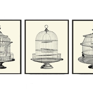 Vintage Antique Bird Cage Wall Art Set of 3 Prints Beautiful Black and White Illustration Picture Decoration Home Room Decor to Frame PRI
