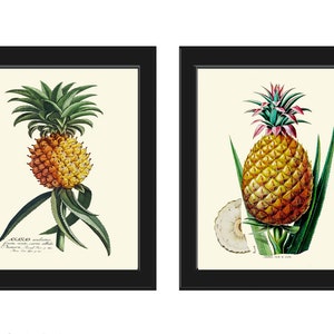 Pineapple Home Decor Wall Art Print Set of 2 Beautiful Vintage Fruit Kitchen Cooking Gift Dining Room Home Decor Illustration to Frame PINA