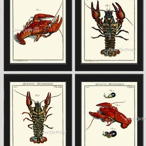 Lobster Wall Art Set of 4 Prints Beautiful Vintage Antique Blue Red Sea Ocean Nautical Marine Nature Science Beach House Home Decor LOBS