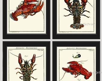 Lobster Wall Art Set of 4 Prints Beautiful Vintage Antique Blue Red Sea Ocean Nautical Marine Nature Science Beach House Home Decor LOBS