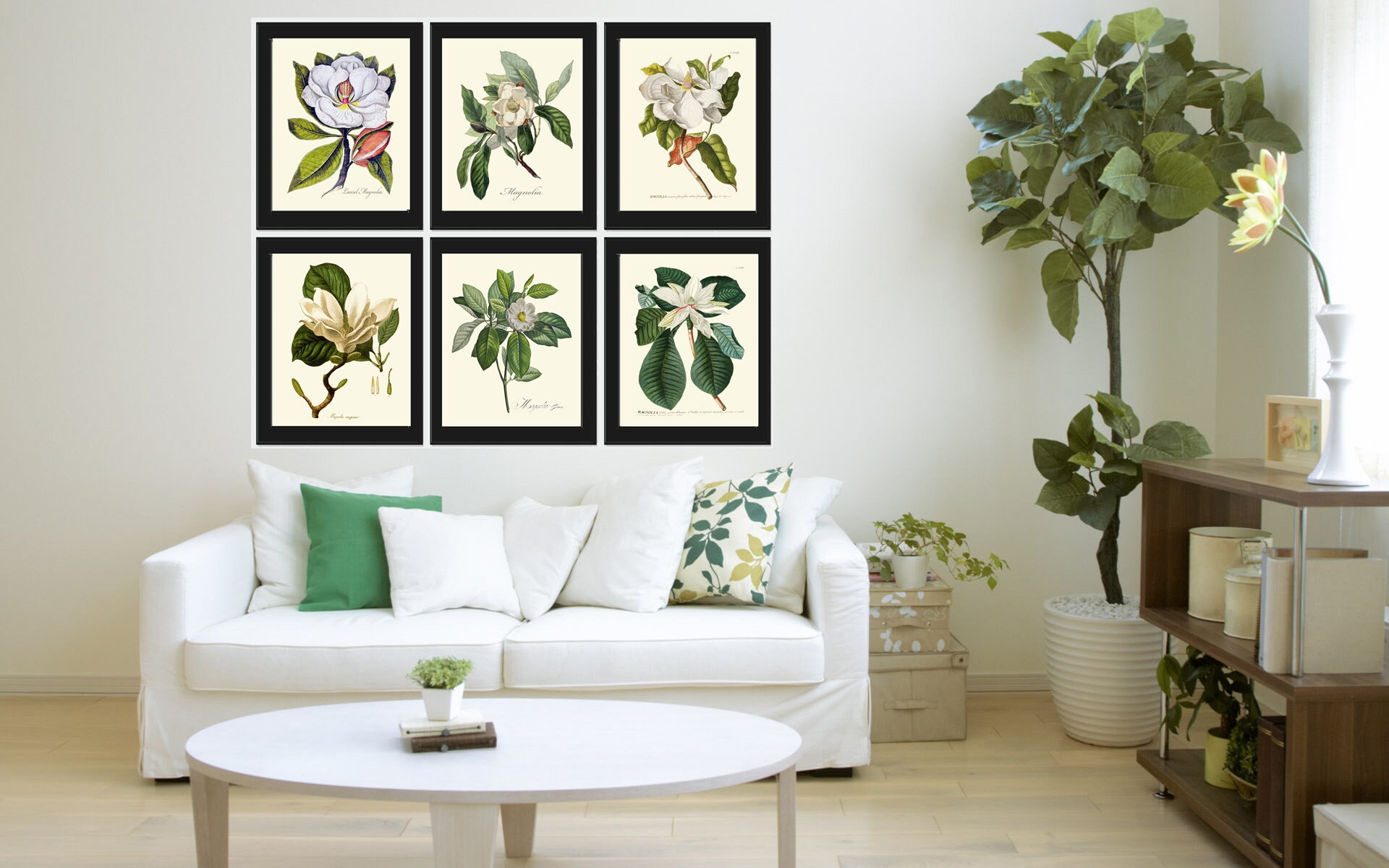 White Magnolia Botanical Prints Wall Decor Art Set of 6 - Etsy