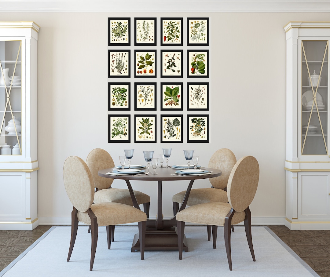 Herbs and Spices Prints Botanical Set of 16 Beautiful Antique Vintage ...