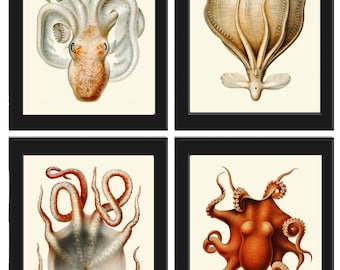 Octopus Prints Wall Art Set van 4 prachtige antieke Vintage Sea Ocean Beach Tropische Badkamer Slaapkamer Hal Office Home Decor om SC in te lijsten