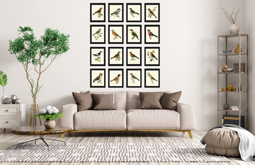 Vintage Bird Wall Art Gallery Set of 16 Prints Beautiful Antique ...