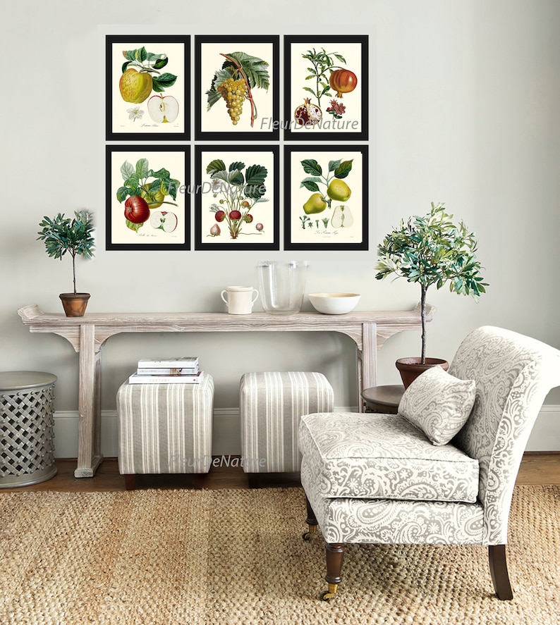kitchen gallery wall art set of 6, vintage fruit... Fruit Prints Wall Art Set of 6 Beautiful Botanical Vintage Apple Grapes ...