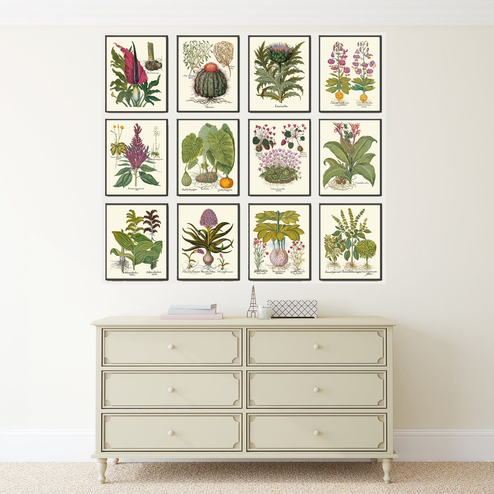 Botanical Decor Wall Art Set of 12 Prints Beautiful Vintage Antique ...