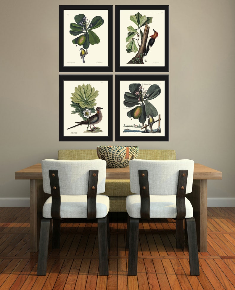 Vintage Bird Wall Art Print Set of 4 Beautiful Antique Green Etsy
