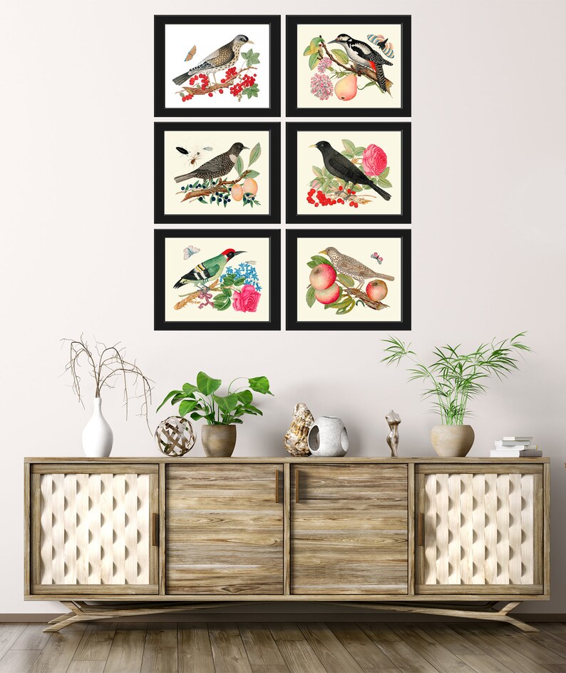 Bird Wall Decor Art Print Set of 6 Prints Antique Vintage Beautiful ...