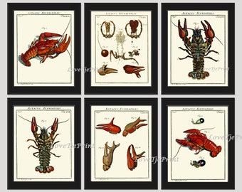 Lobster Prints Wall Art Set of 6 Beautiful Antique Vintage Red Blue Sea Ocean Marine Coastal Nautical Beach House Home Decor to Frame LOBS