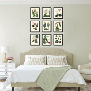 Cactus Botanical Wall Art Set of 9 Prints Beautiful Pink White Blooming ...