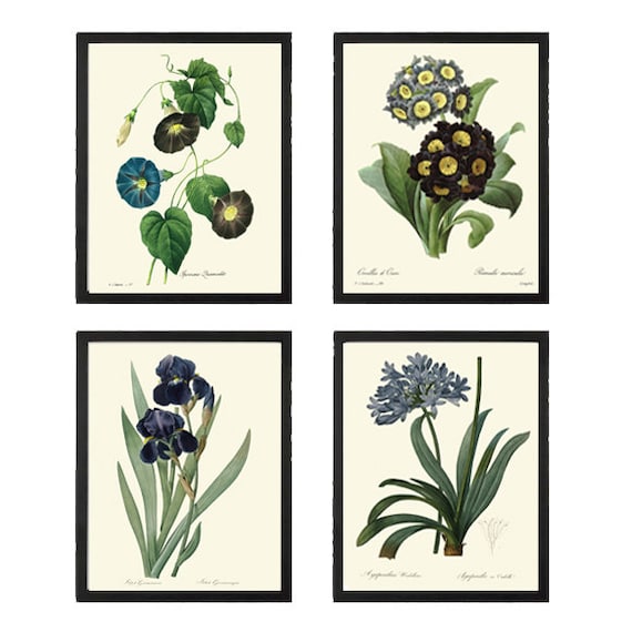 Blue Flowers Botanical Wall Art Set of 4 Prints Beautiful - Etsy