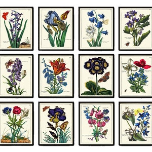Botanical Wall Decor Art Set of 12 Prints Beautiful Antique Vintage Wildflower Flowers Butterflies Garden Gardening Home Decor to Frame NEDE