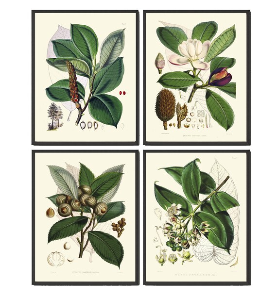 Green Leaf Tree Branch Botanical Wall Art Set of 4 Print - Etsy