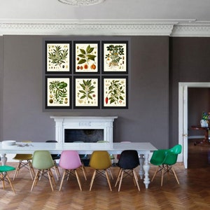 Herbs Spices Prints Wall Art Set of 6 Beautiful Botanical Kitchen ...