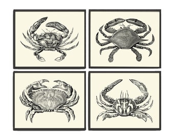 Granchio vintage stampe Wall Art Set di 4 bellissimi granchi in bianco e nero mare oceano nautico marino natura scienza spiaggia Home Decor per telaio SM