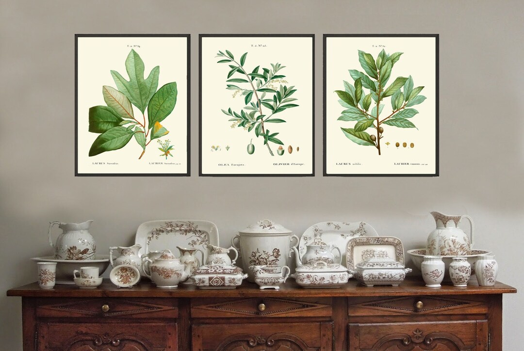 Kitchen Dining Room Wall Art Spices Herbs Bay Leaf Olive Laurel Print ...
