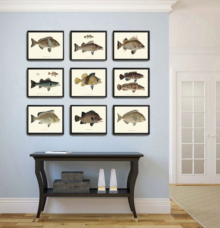 Vintage Fish Wall Art Set of 9 Prints Beautiful Antique Fishes Etsy