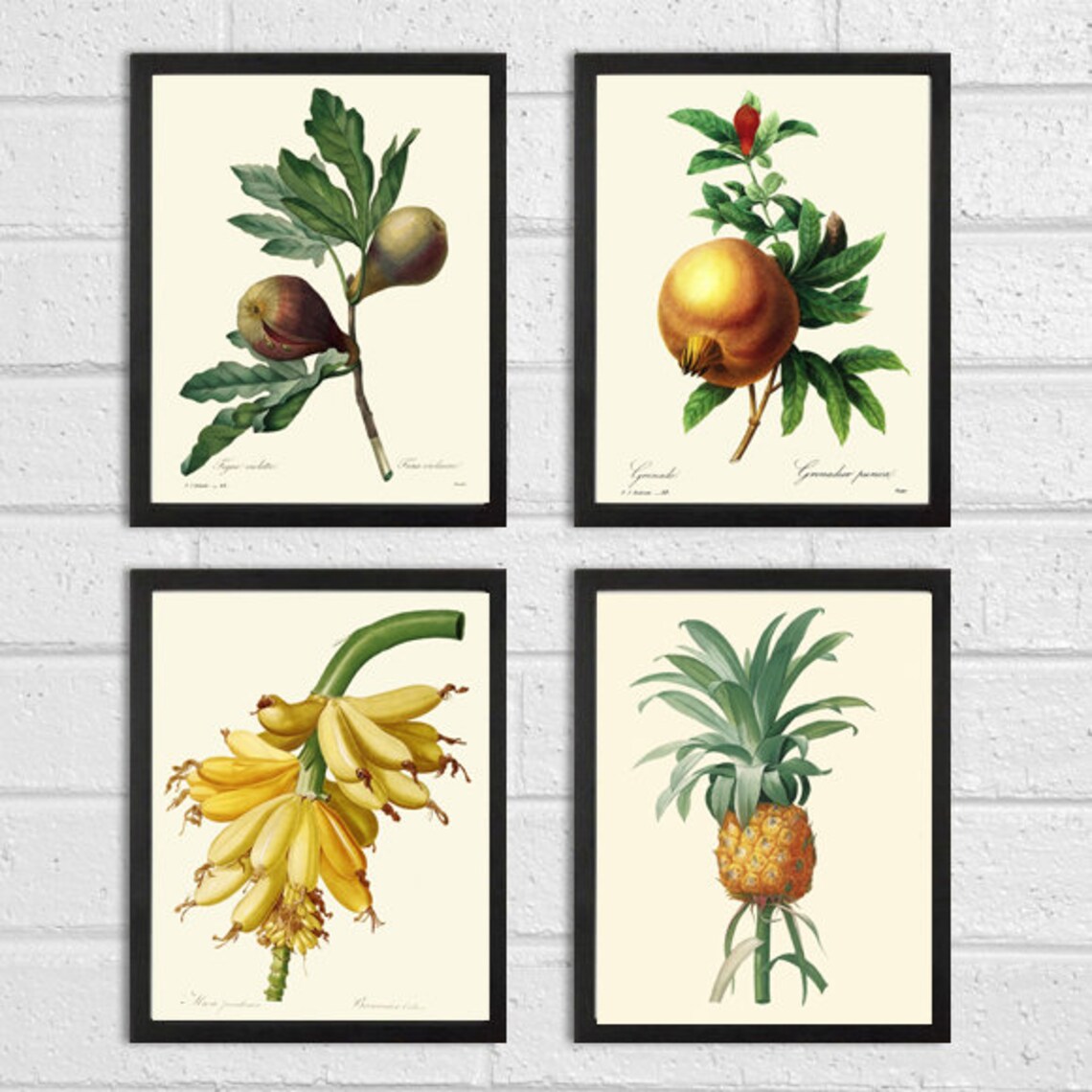 Tropical Fruit Wall Decor Art Prints Set of 4 Beautiful Etsy