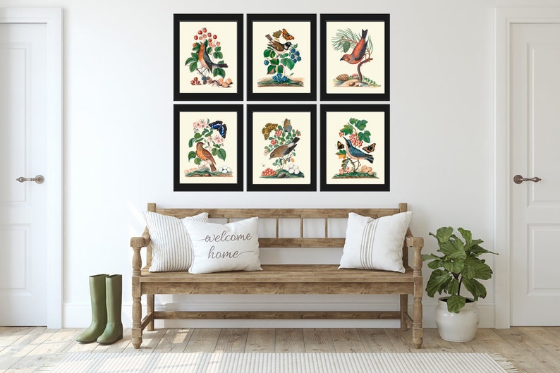 Vintage Bird Wall Art Set of 6 Prints Beautiful Antique Pretty Red Blue ...