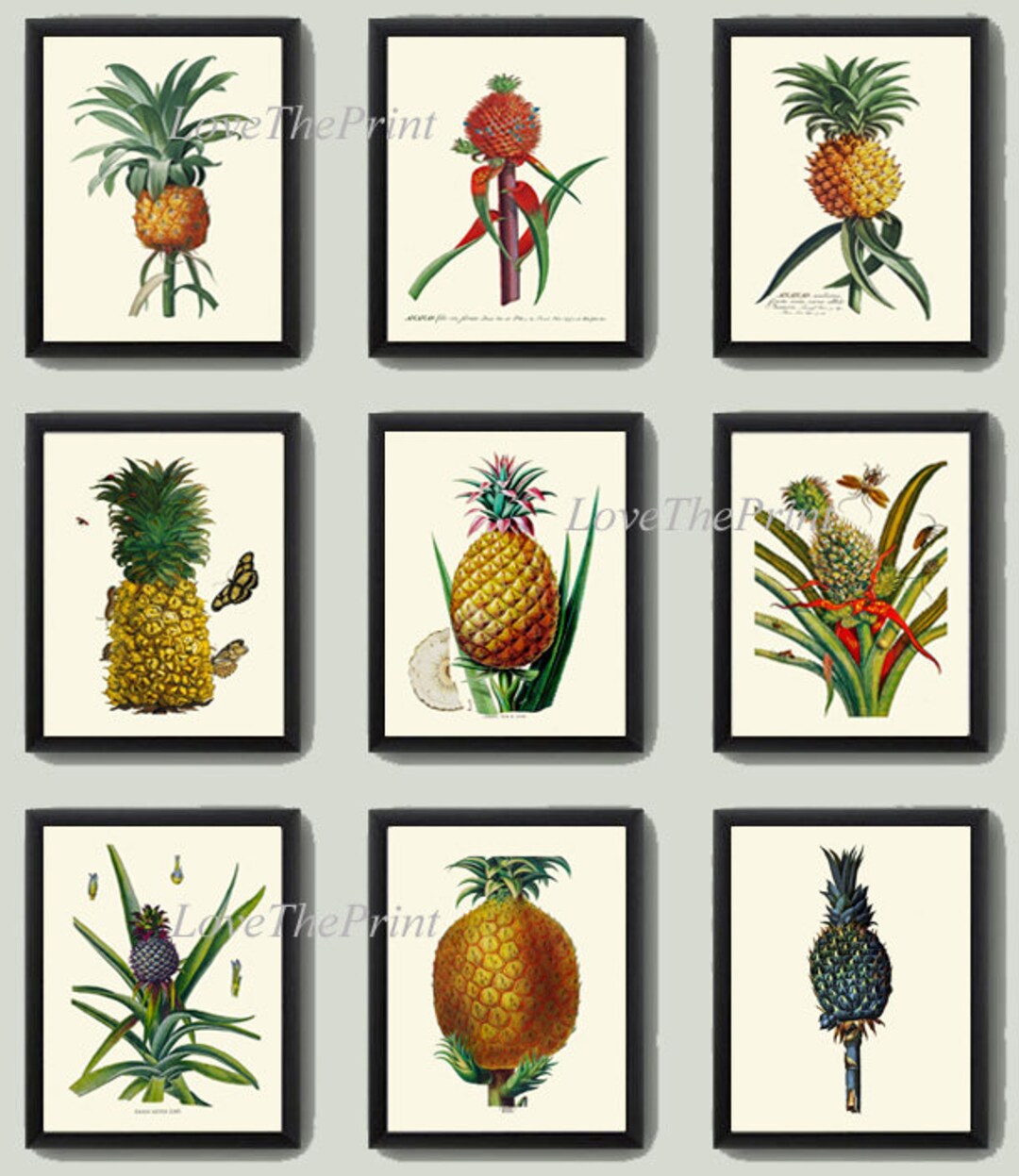 Pineapple Prints Tropical Fruit Wall Art Set of 9 Botanical Etsy