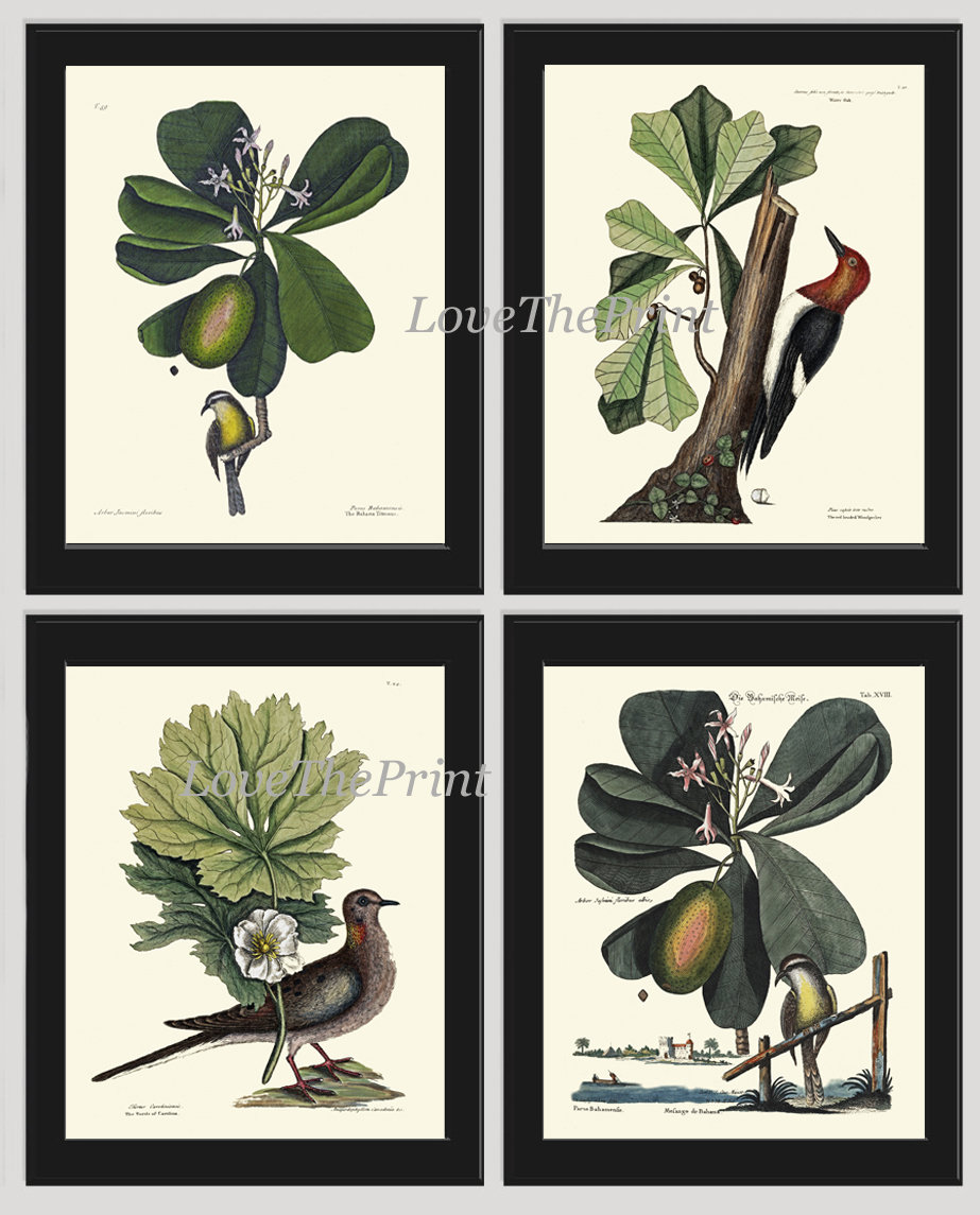 Vintage Bird Wall Art Print Set of 4 Beautiful Antique Green Trees ...