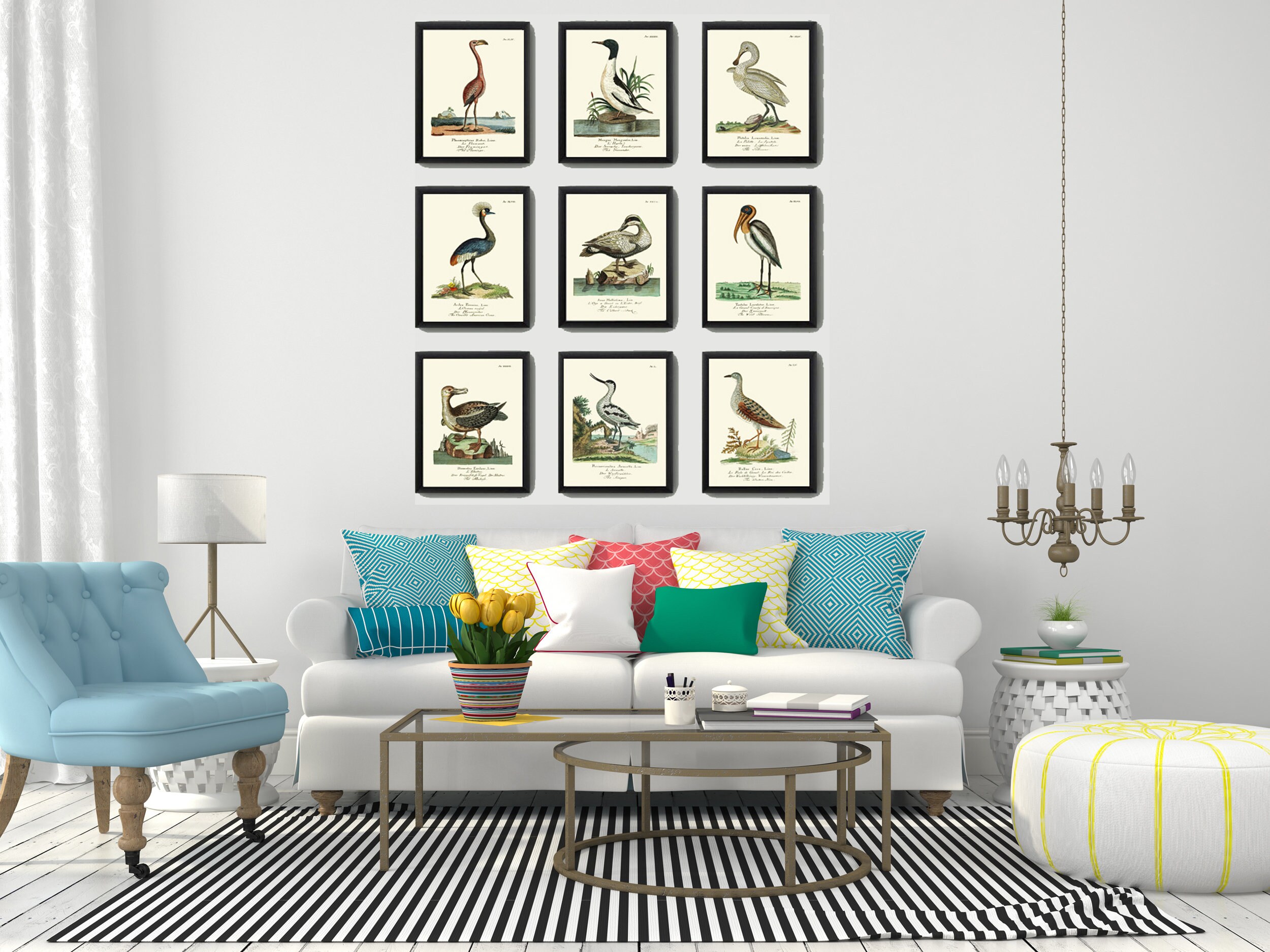 Birds Wall Art Print Set of 9 Beautiful Antique Vintage Lake Outdoor ...