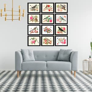 Beautiful Bird Wall Art Home Decor Set of 12 Prints Colorful Birds ...
