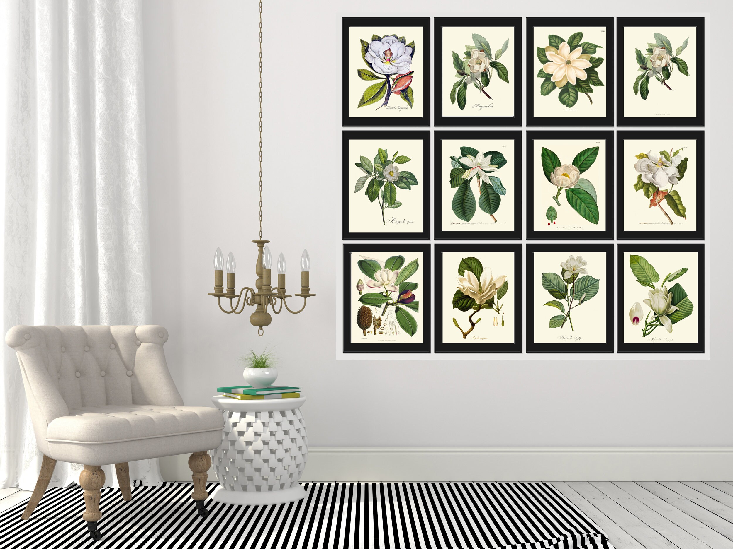 Magnolia Tree Flowers Botanical Prints Wall Art Home Decor Set of 12 ...