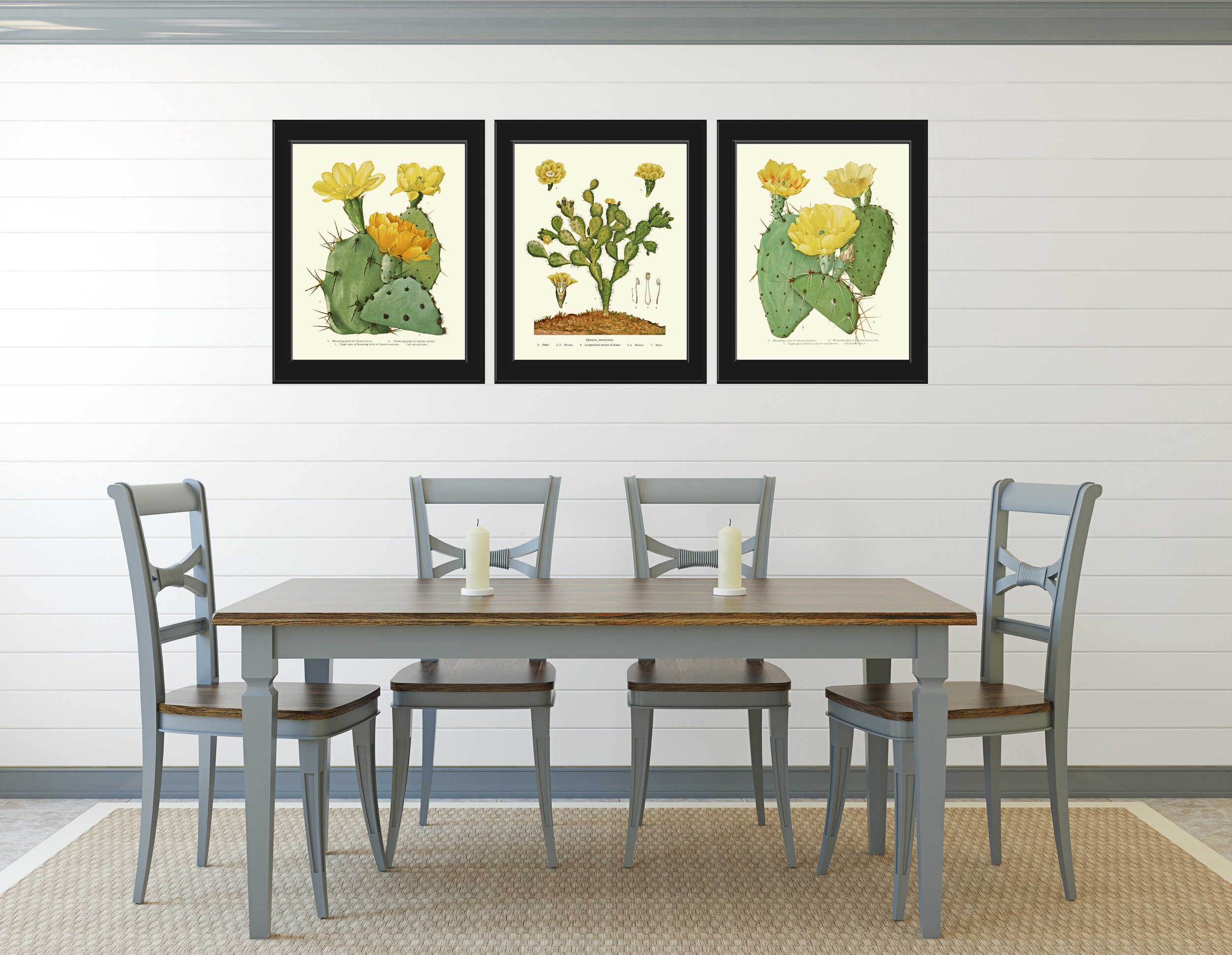 Cactus Botanical Wall Art Decor Set of 3 Prints Beautiful Tropical ...
