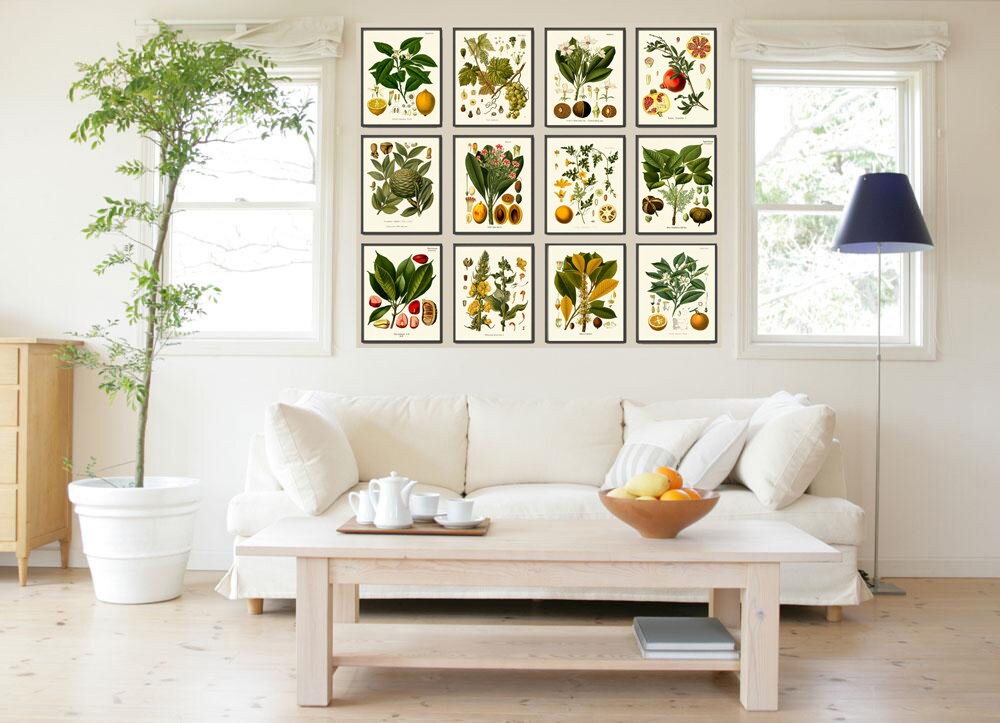 Tropical Fruit Botanical Wall Art Set of 12 Prints Beautiful Antique ...