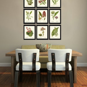 Green Wildflowers Vintage Botanical Wall Art Set of 9 Prints Beautiful ...
