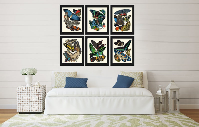 Butterflies Prints Wall Art Set of 6 Beautiful Antique Vintage Blue