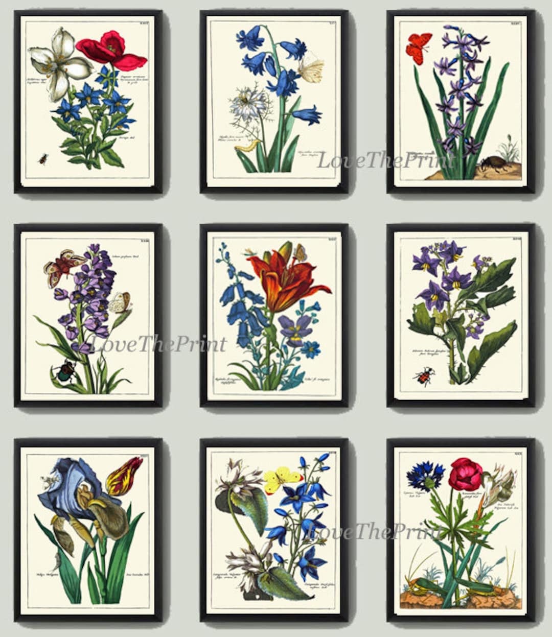Antique Wildflowers Botanical Wall Art Set of 9 Prints Beautiful ...