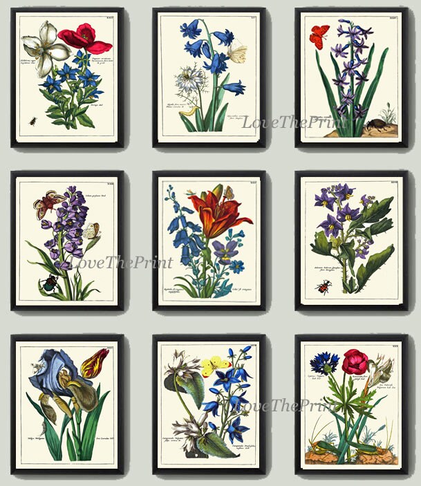 Antique Wildflowers Botanical Wall Art Set of 9 Prints Beautiful ...