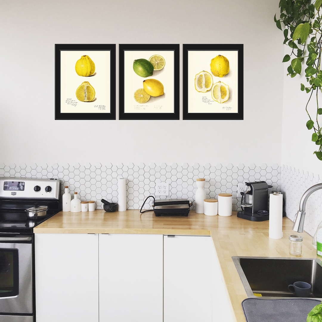 Lemon Fruit Prints Botanical Wall Art Set 3 Vintage Citrus Lime Green ...