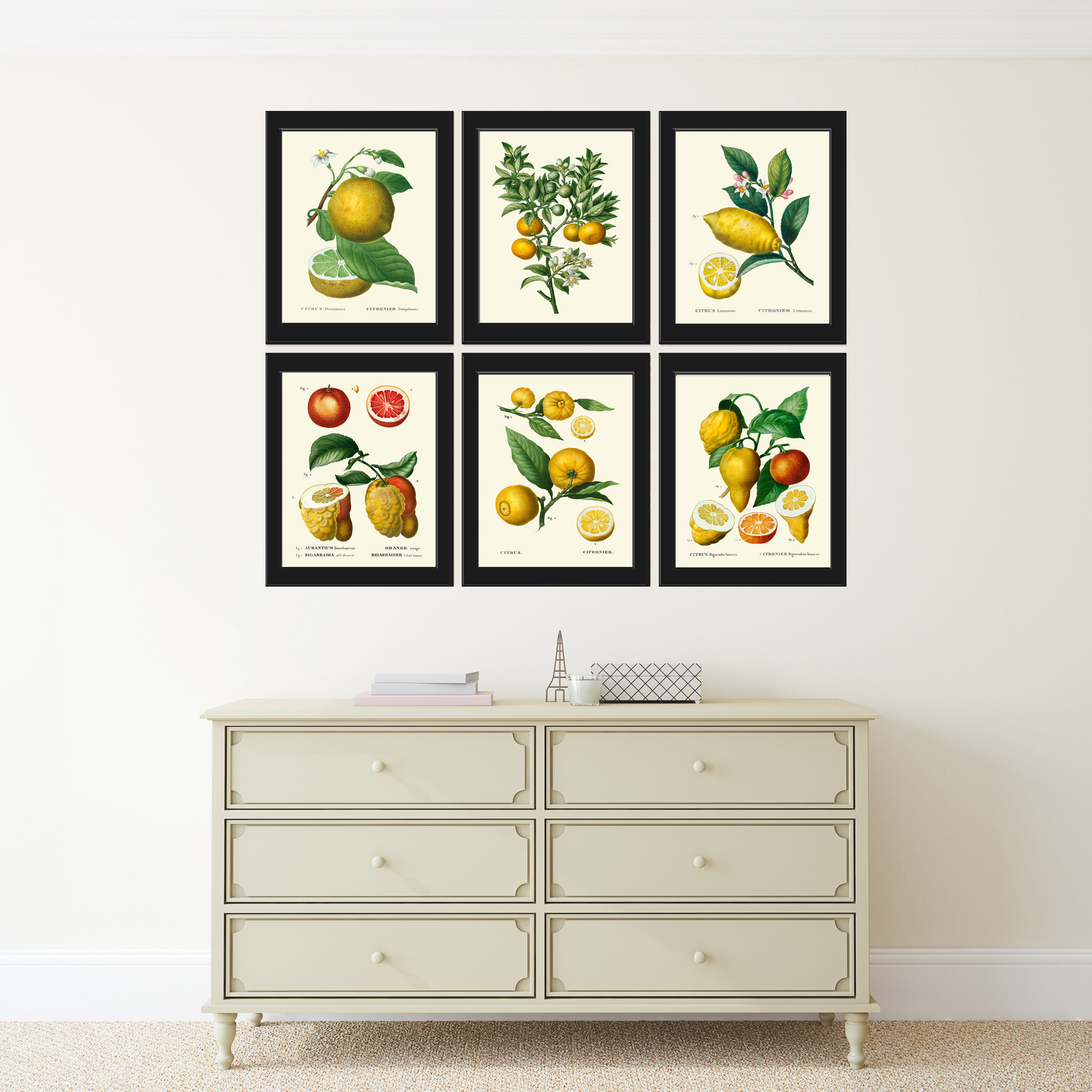 Citrus Fruit Lemon Orange Wall Decor Prints Art Set 6 Beautiful ...