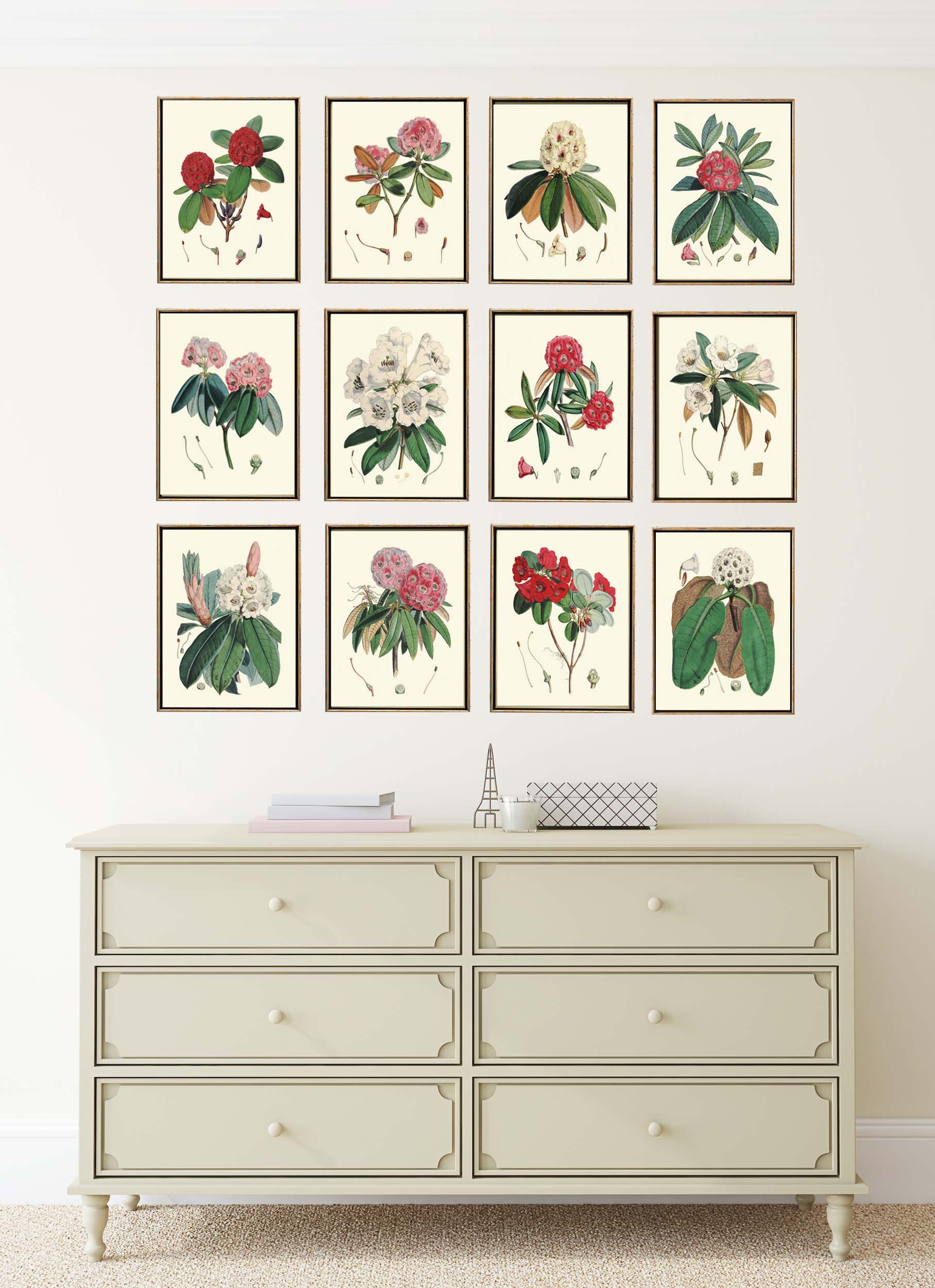Rhododendron Botanical Prints Wall Art Set of 12 Large Size Gallery ...
