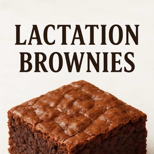 Lactation Brownies Recipe | Breastfeeding Snack | Milk Supply Boost | Easy Galactagogue Dessert | Digital Download | chocolate oat brownie